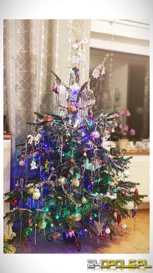 Czytelnicy pochwalili się swoimi świątecznymi drzewkami