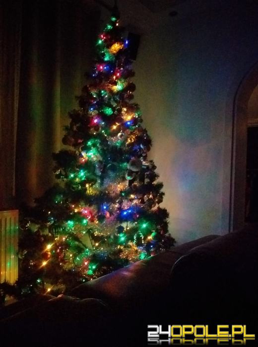 Czytelnicy pochwalili się swoimi świątecznymi drzewkami