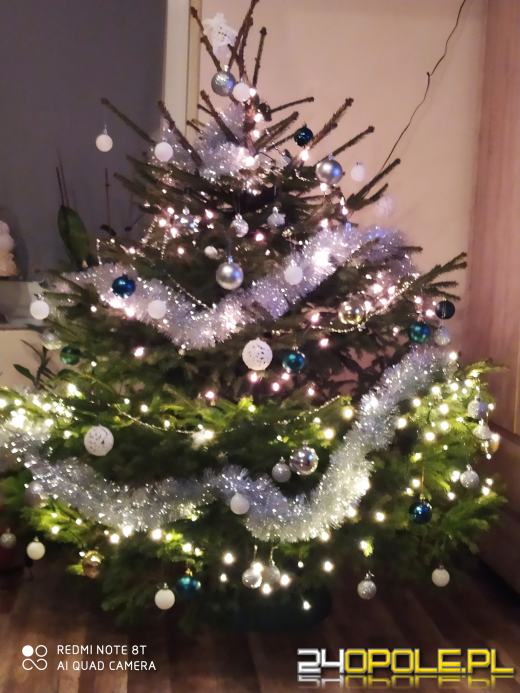 Czytelnicy pochwalili się swoimi świątecznymi drzewkami