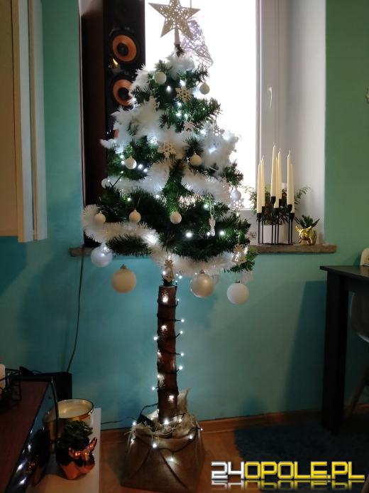 Czytelnicy pochwalili się swoimi świątecznymi drzewkami
