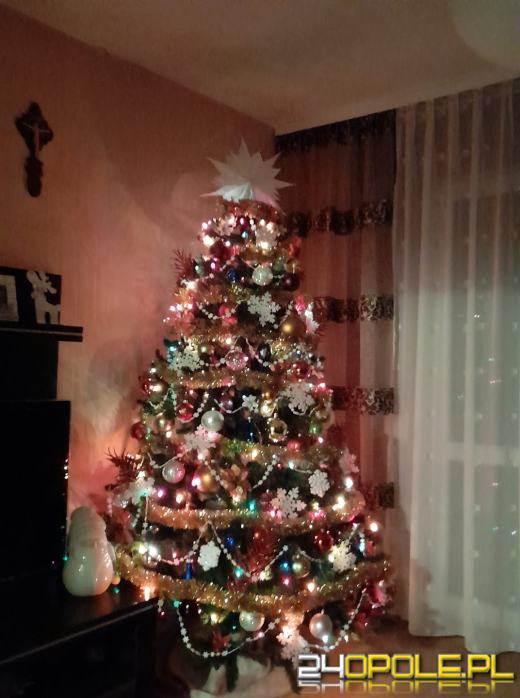 Czytelnicy pochwalili się swoimi świątecznymi drzewkami