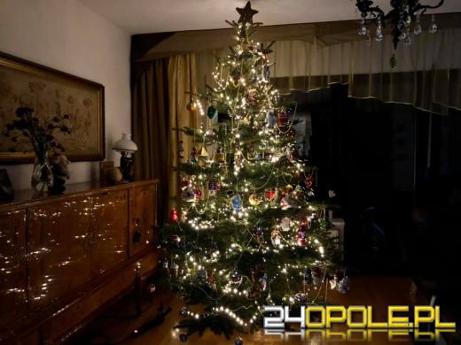 Czytelnicy pochwalili się swoimi świątecznymi drzewkami