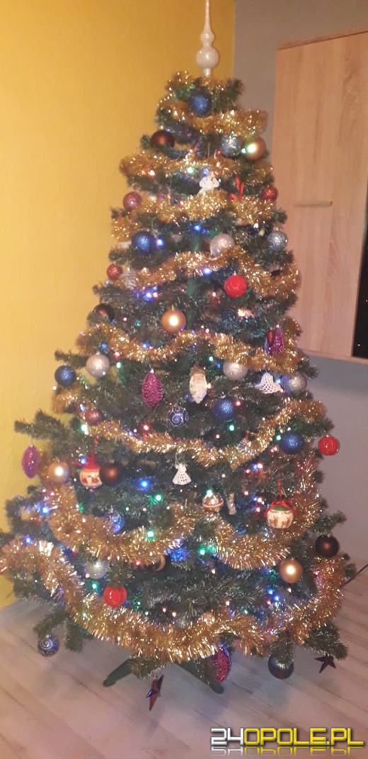 Czytelnicy pochwalili się swoimi świątecznymi drzewkami