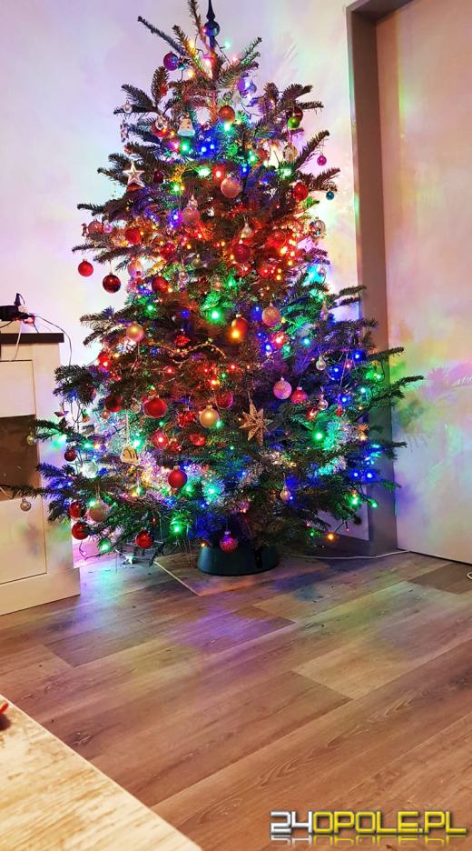 Czytelnicy pochwalili się swoimi świątecznymi drzewkami