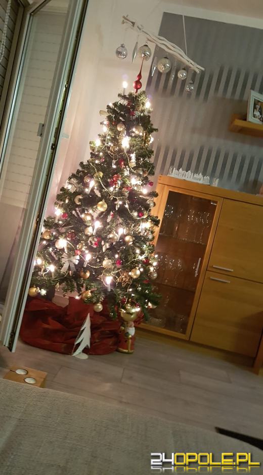Czytelnicy pochwalili się swoimi świątecznymi drzewkami