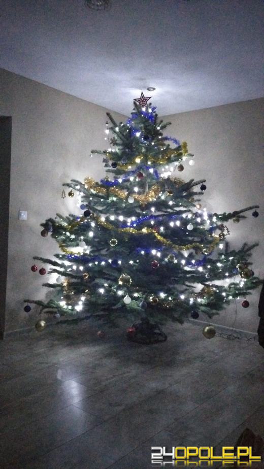 Czytelnicy pochwalili się swoimi świątecznymi drzewkami