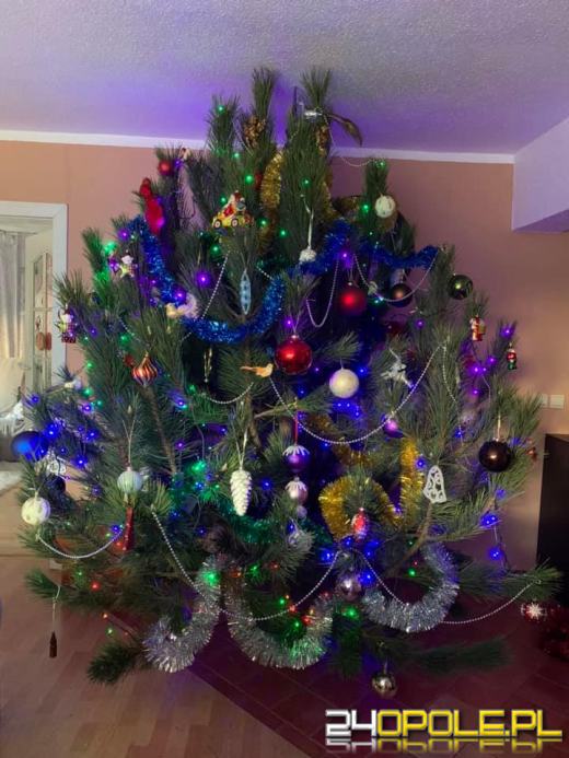 Czytelnicy pochwalili się swoimi świątecznymi drzewkami