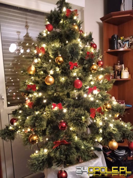 Czytelnicy pochwalili się swoimi świątecznymi drzewkami