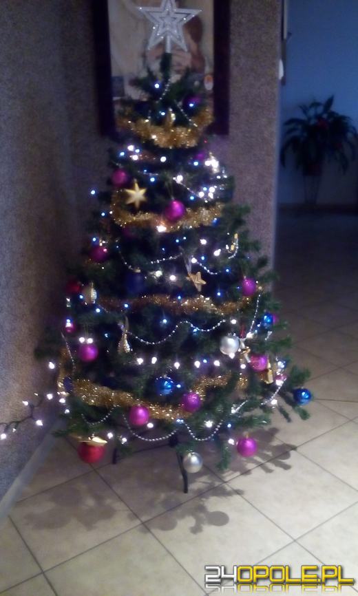 Czytelnicy pochwalili się swoimi świątecznymi drzewkami