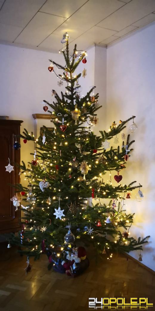 Czytelnicy pochwalili się swoimi świątecznymi drzewkami
