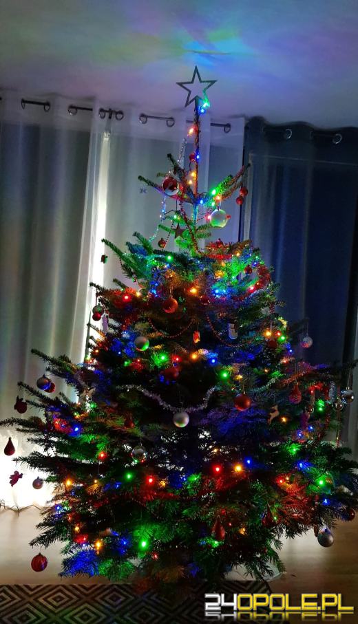 Czytelnicy pochwalili się swoimi świątecznymi drzewkami