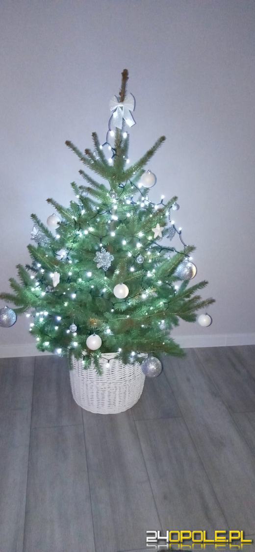 Czytelnicy pochwalili się swoimi świątecznymi drzewkami