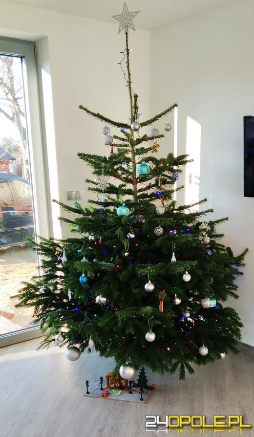 Czytelnicy pochwalili się swoimi świątecznymi drzewkami