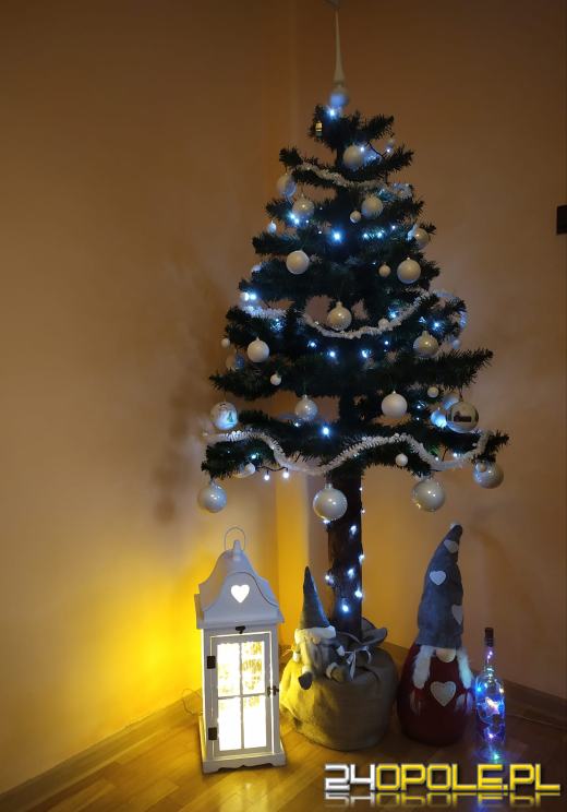 Czytelnicy pochwalili się swoimi świątecznymi drzewkami