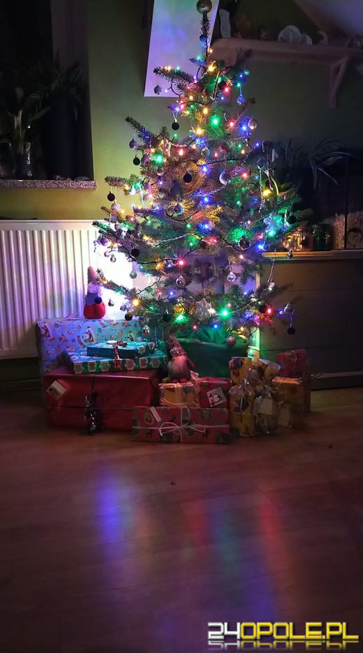 Czytelnicy pochwalili się swoimi świątecznymi drzewkami