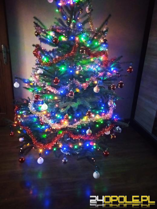 Czytelnicy pochwalili się swoimi świątecznymi drzewkami