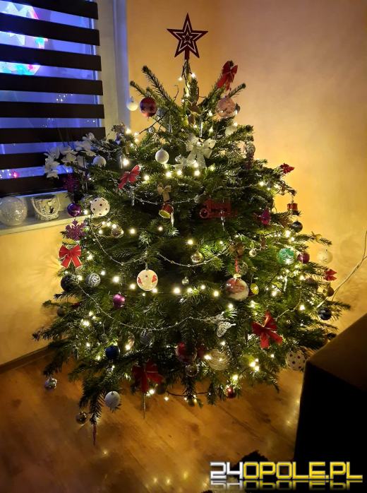 Czytelnicy pochwalili się swoimi świątecznymi drzewkami