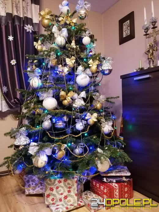 Czytelnicy pochwalili się swoimi świątecznymi drzewkami