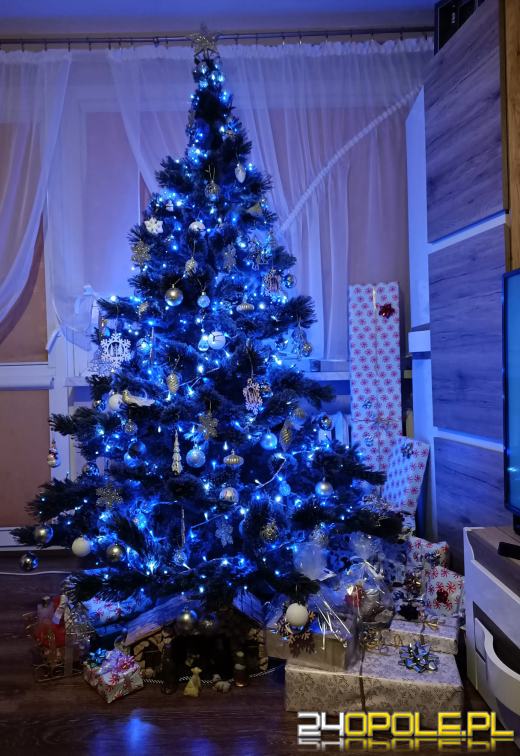 Czytelnicy pochwalili się swoimi świątecznymi drzewkami