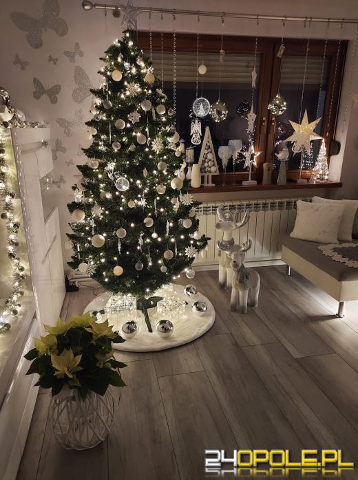 Czytelnicy pochwalili się swoimi świątecznymi drzewkami