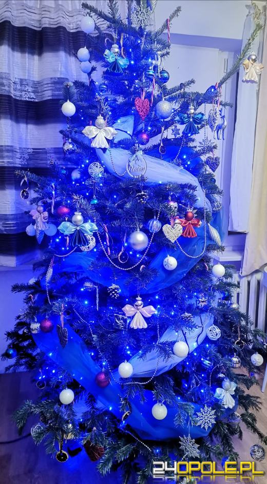 Czytelnicy pochwalili się swoimi świątecznymi drzewkami