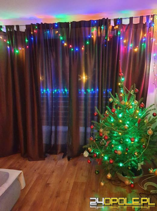 Czytelnicy pochwalili się swoimi świątecznymi drzewkami