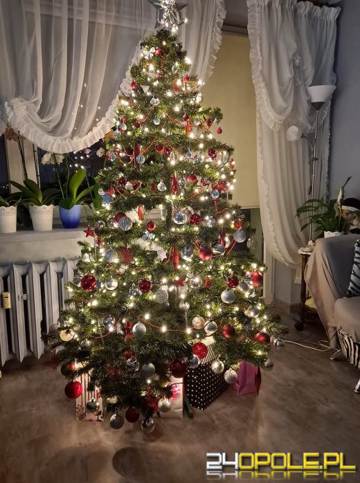 Czytelnicy pochwalili się swoimi świątecznymi drzewkami