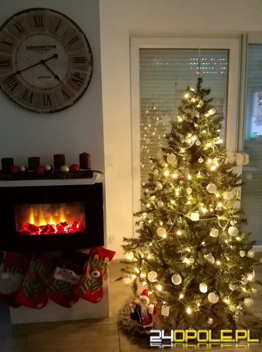 Czytelnicy pochwalili się swoimi świątecznymi drzewkami