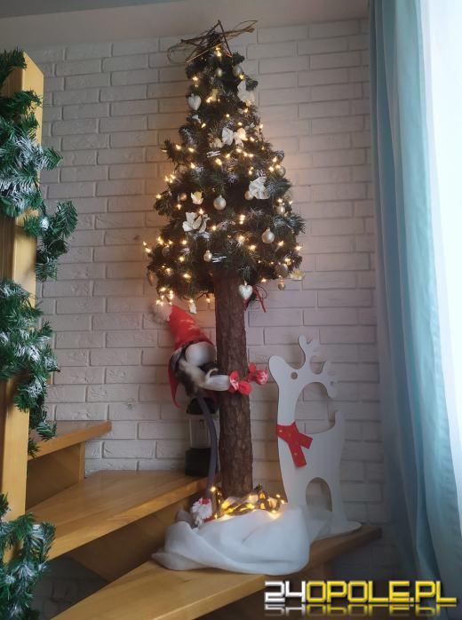 Czytelnicy pochwalili się swoimi świątecznymi drzewkami