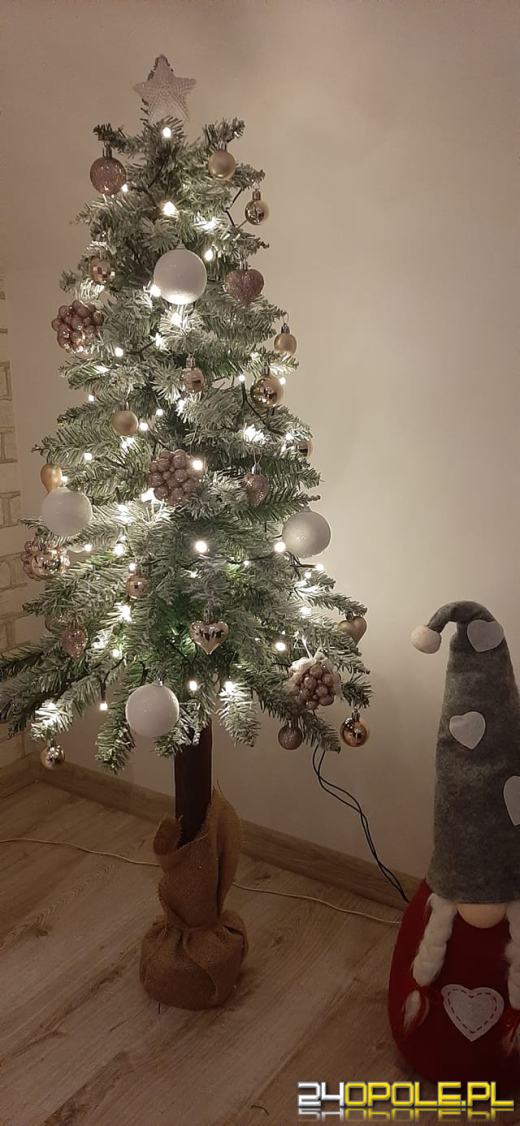 Czytelnicy pochwalili się swoimi świątecznymi drzewkami