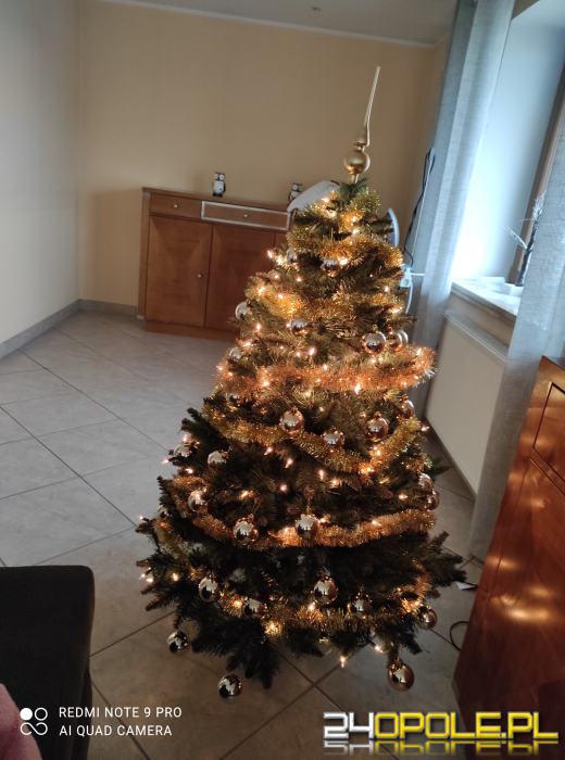 Czytelnicy pochwalili się swoimi świątecznymi drzewkami