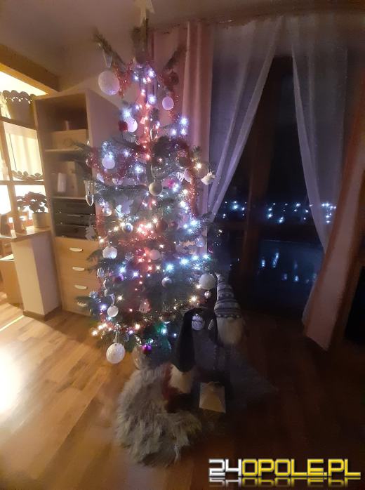 Czytelnicy pochwalili się swoimi świątecznymi drzewkami