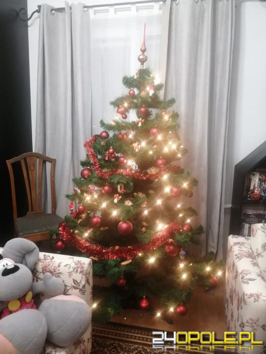 Czytelnicy pochwalili się swoimi świątecznymi drzewkami