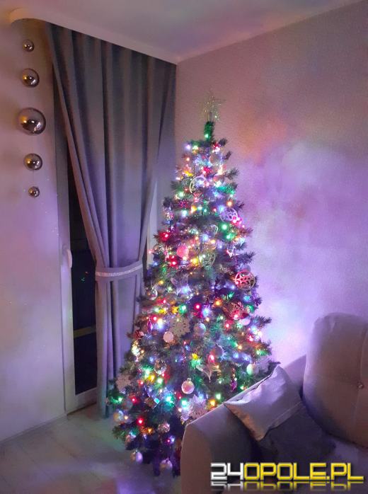 Czytelnicy pochwalili się swoimi świątecznymi drzewkami