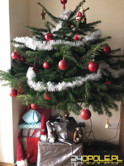 Czytelnicy pochwalili się swoimi świątecznymi drzewkami
