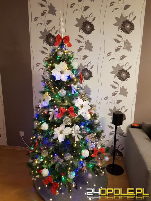 Czytelnicy pochwalili się swoimi świątecznymi drzewkami