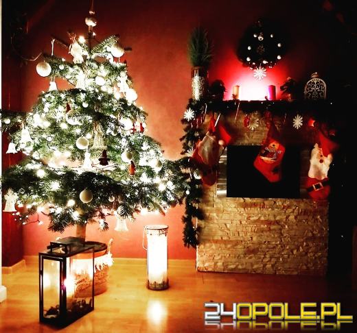 Czytelnicy pochwalili się swoimi świątecznymi drzewkami