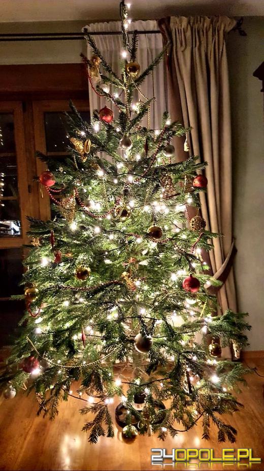 Czytelnicy pochwalili się swoimi świątecznymi drzewkami