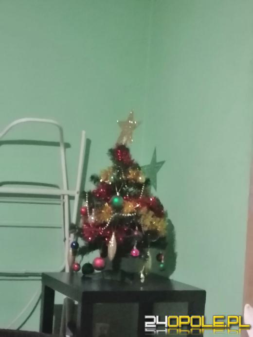 Czytelnicy pochwalili się swoimi świątecznymi drzewkami