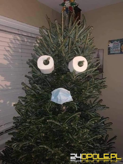 Czytelnicy pochwalili się swoimi świątecznymi drzewkami