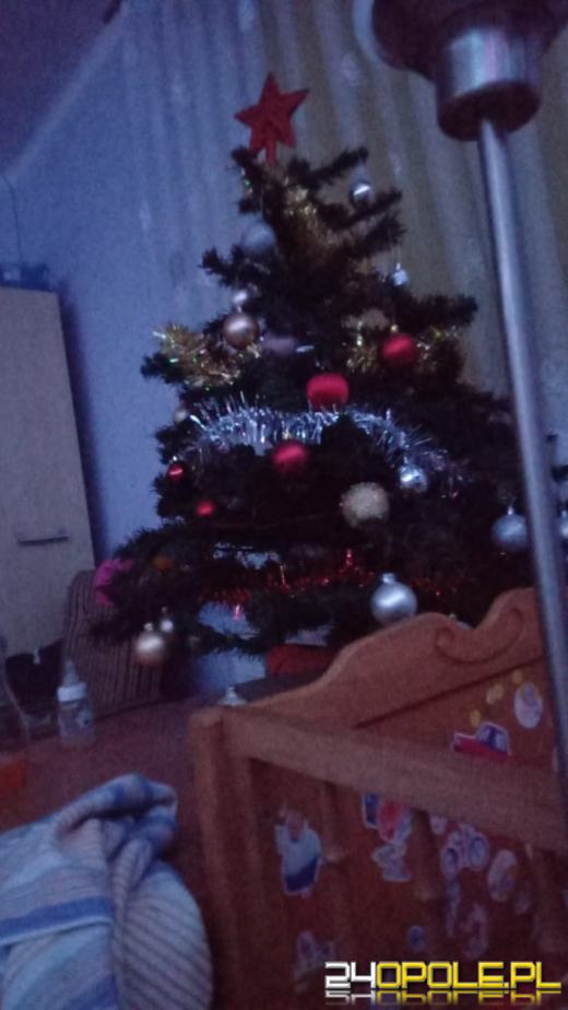 Czytelnicy pochwalili się swoimi świątecznymi drzewkami