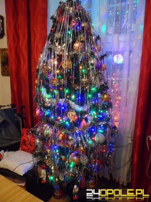 Czytelnicy pochwalili się swoimi świątecznymi drzewkami