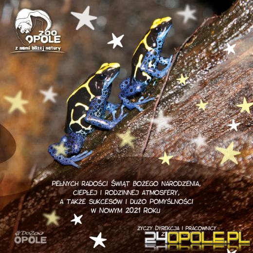 Życzenia świąteczne dla czytelników portalu 24opole.pl