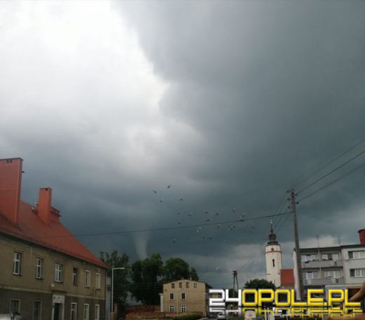 Co czytaliśmy najchętniej w 2020 roku?