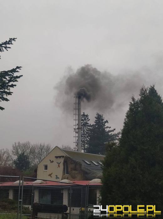 Tragiczna jakość powietrza na Bolko rano. Wieczorem - czujnik znika