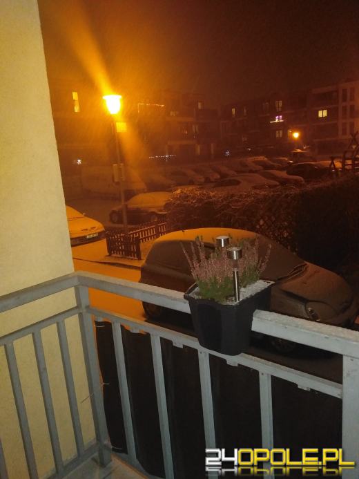 Zima w obiektywie naszych czytelników