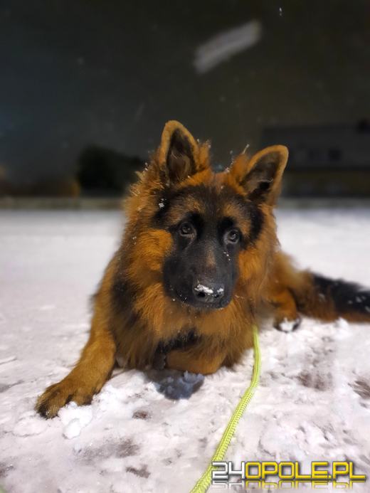 Zima w obiektywie naszych czytelników