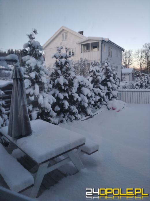 Zima w obiektywie naszych czytelników