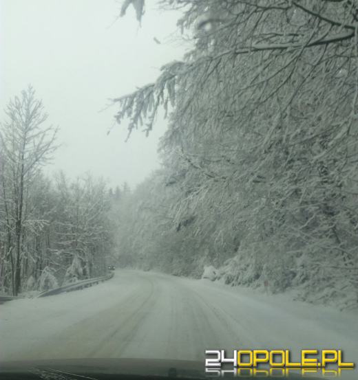 Zima w obiektywie naszych czytelników