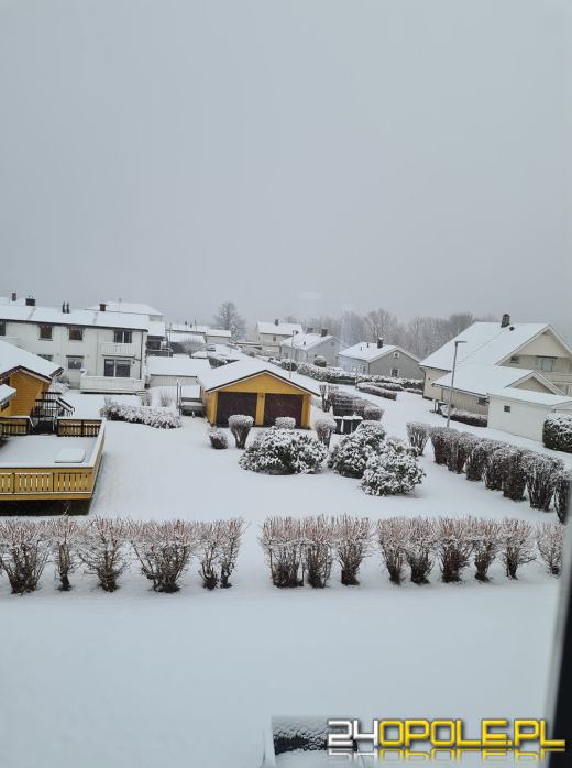 Zima w obiektywie naszych czytelników